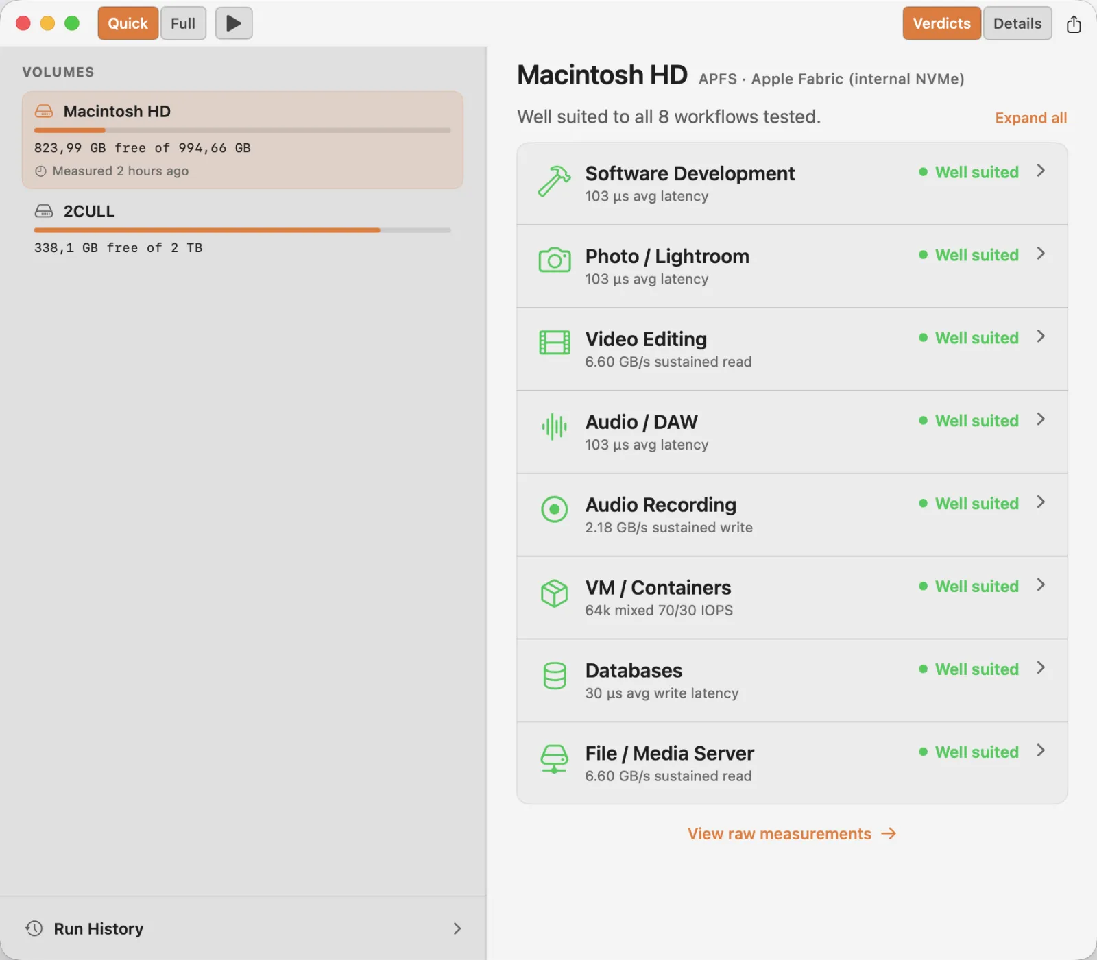 DiskVerdict grading a volume across eight workflows — each marked well suited with the statistic that decided it